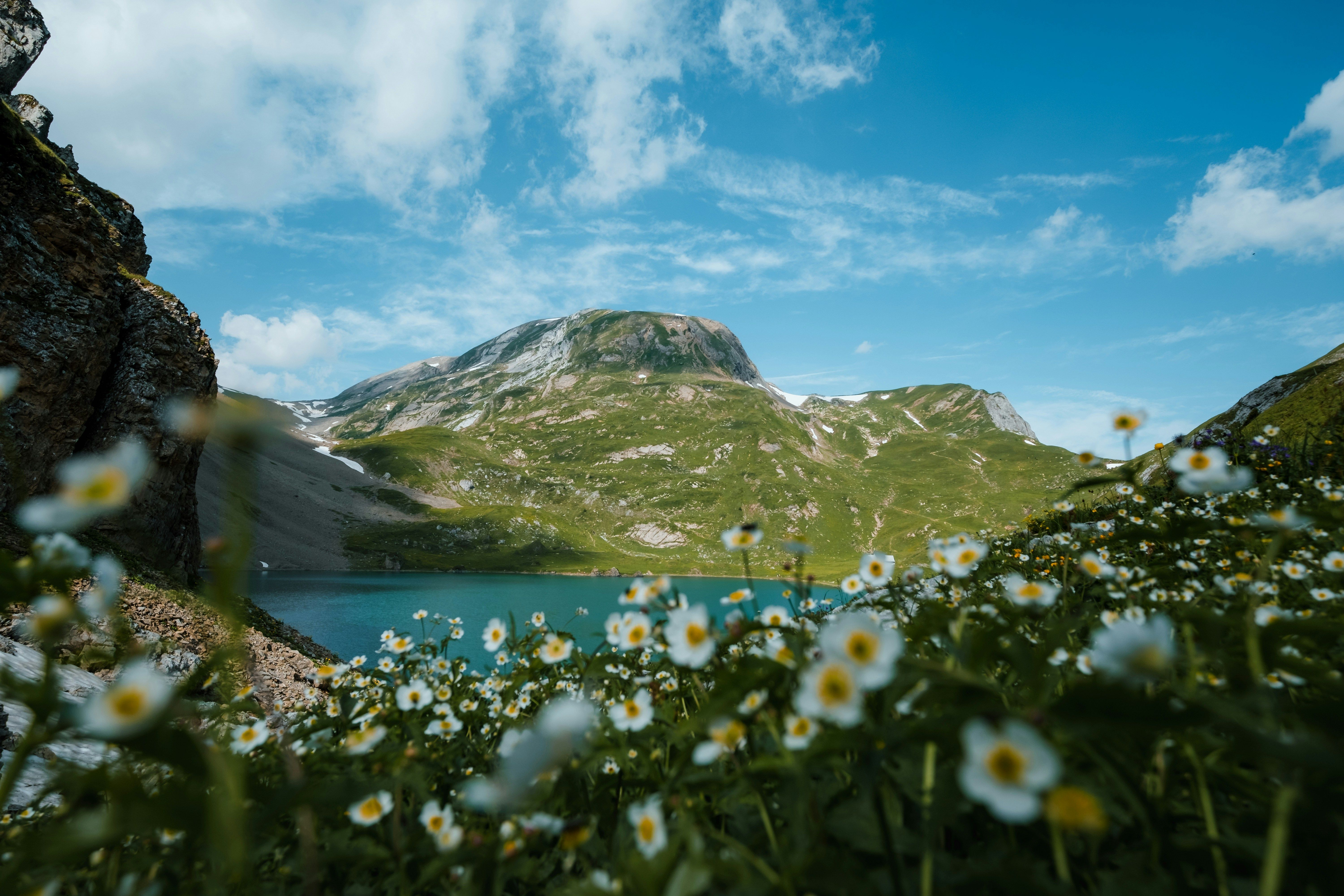 Non à l'initiative sur la responsabilité environnementale